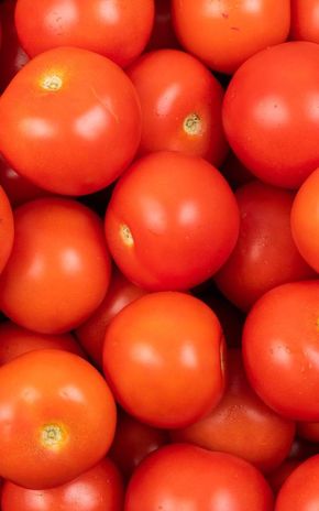 La Tomate rouge ronde