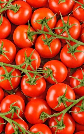 La Tomate grappe BIO