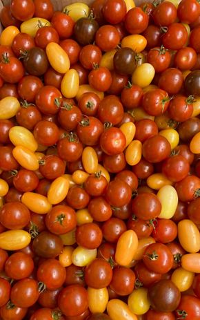 Le Panaché de tomates cerises