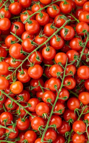 La Tomate cerise grappe