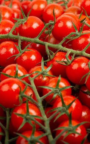 La Tomate cerise grappe en colis