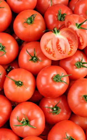 La Tomate rose - Sélection variété ancienne
