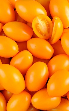 La Tomate allongée orange BIO