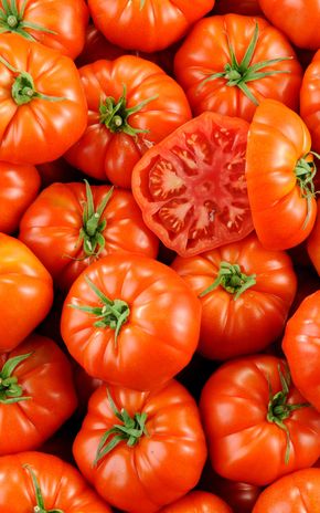 La Tomate marmande - Sélection variété ancienne