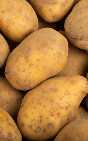 La Pomme de terre non lavée