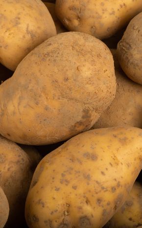 La Pomme de terre non lavée