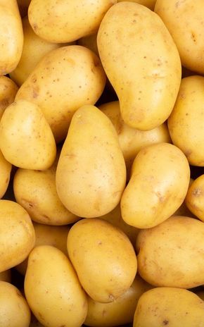 La Pomme de terre primeur