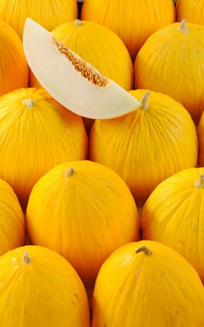Le Melon jaune
