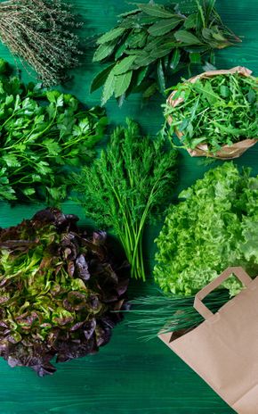 L'Herbivore "Anti-Gaspi" 1,99 € au lieu de 4,00 €