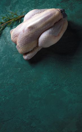 Le Poulet de Bresse AOP