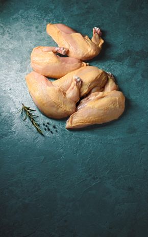 Le Suprême de Chapon fermier jaune du Périgord Label Rouge et IGP