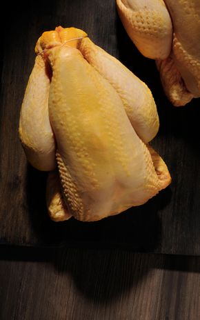 Le Poulet fermier jaune des Landes Label Rouge et IGP