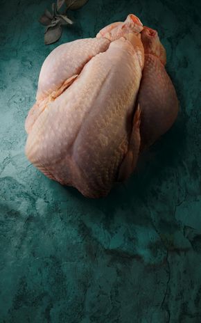 Le Chapon fermier des Landes Label Rouge