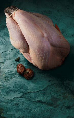 La Dinde fermière d'Auvergne