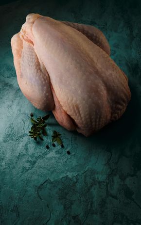 La Poularde fermière de Licques Label Rouge et IGP