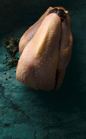 La Pintade fermière Label Rouge