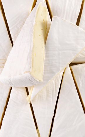 Le Brie pasteurisé