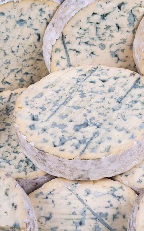 La Fourme d'Ambert AOP