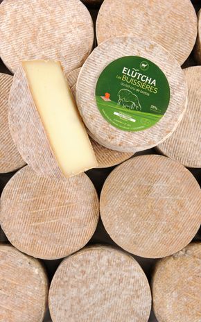L'Elutcha des Buissières