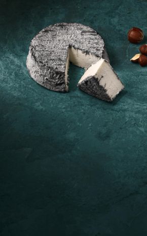 Le Selles sur Cher AOP crémeux