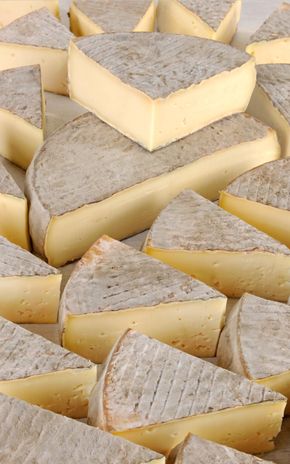 Le Saint-Nectaire fermier AOP
