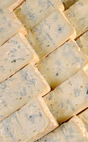 Le Gorgonzola DOP doux