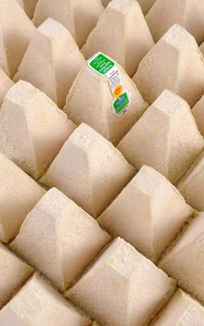 Le Pouligny-Saint-Pierre AOP fermier