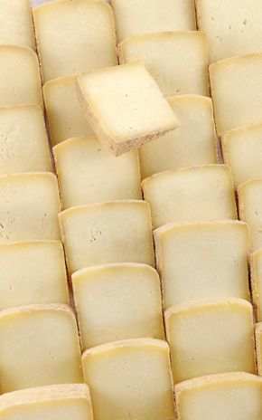La Tomme de brebis corse