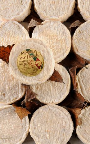 Le Mothais sur feuille