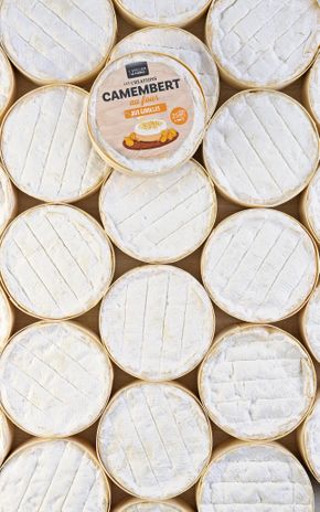 Le Camembert aux girolles