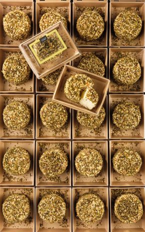 Le Chèvre enrobé zaatar et agrumes