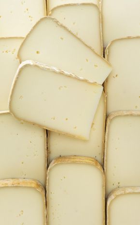 La Tomme de chèvre et brebis