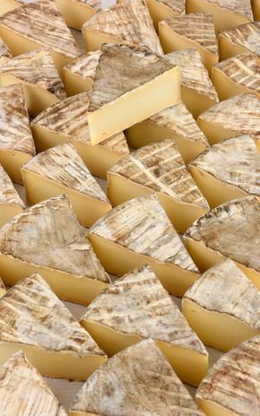 Le Saint Nectaire AOP