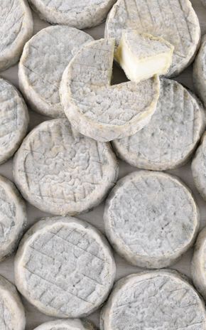 Le Selles sur Cher AOP crémeux