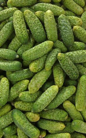 Le Cornichon frais