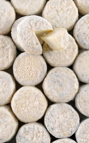 Les Crottins de Chavignol fermier AOP