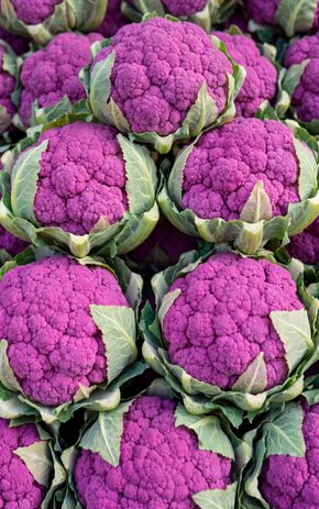 Le Chou-fleur violet BIO