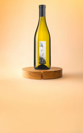 Le Vin blanc "Micheline" Côtes Catalanes BIO et IGP