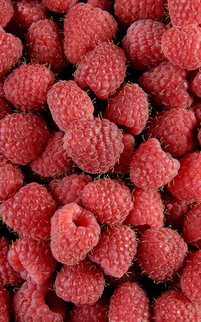 La Framboise tulameen
