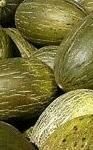 Le Melon vert Piel Sapo BIO