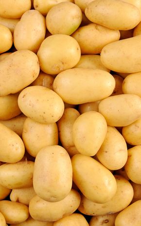 La Pomme de terre Noirmoutier