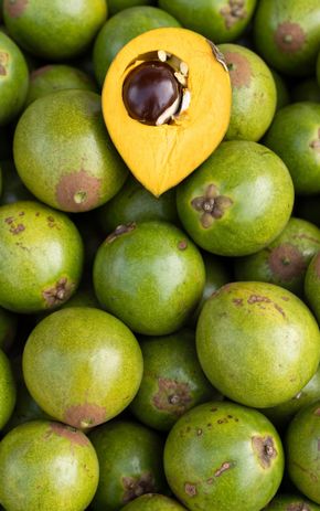 Le Lucuma
