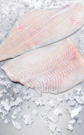 Le Filet de carrelet