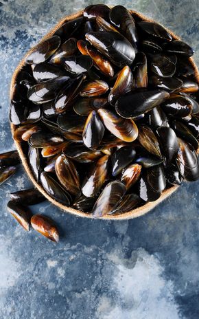Les Moules de cordes d'Irlande