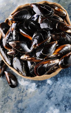 Les Moules de cordes de France