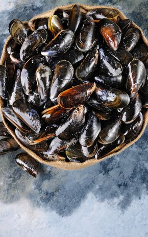 Les Moules de Hollande