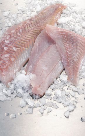 Les Filets de lieu noir sans arête