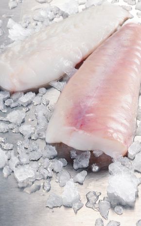 Le Filet de lotte
