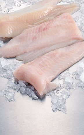 Le Filet de loup de mer