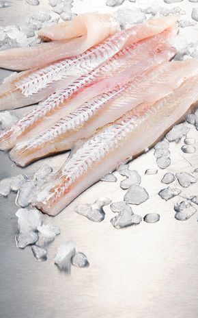 Le Filet de merlan